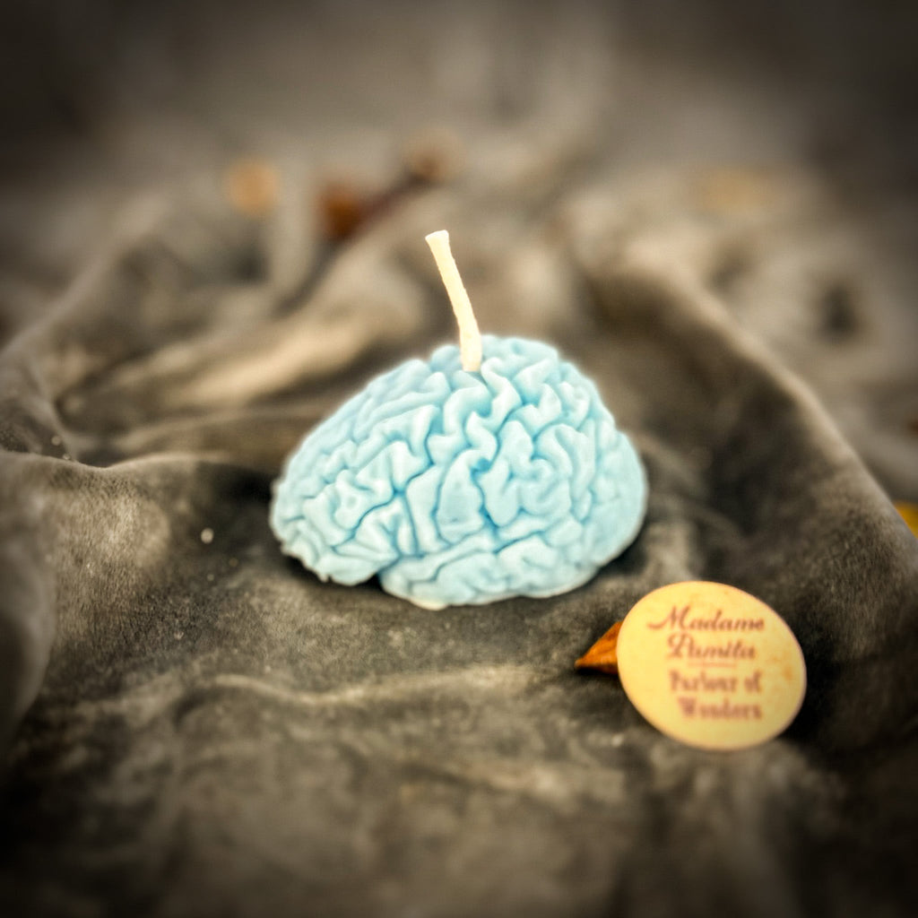 Brilliant Brain Candle Spell Kit - Mental Clarity & Focus by Parlour of Wonders
