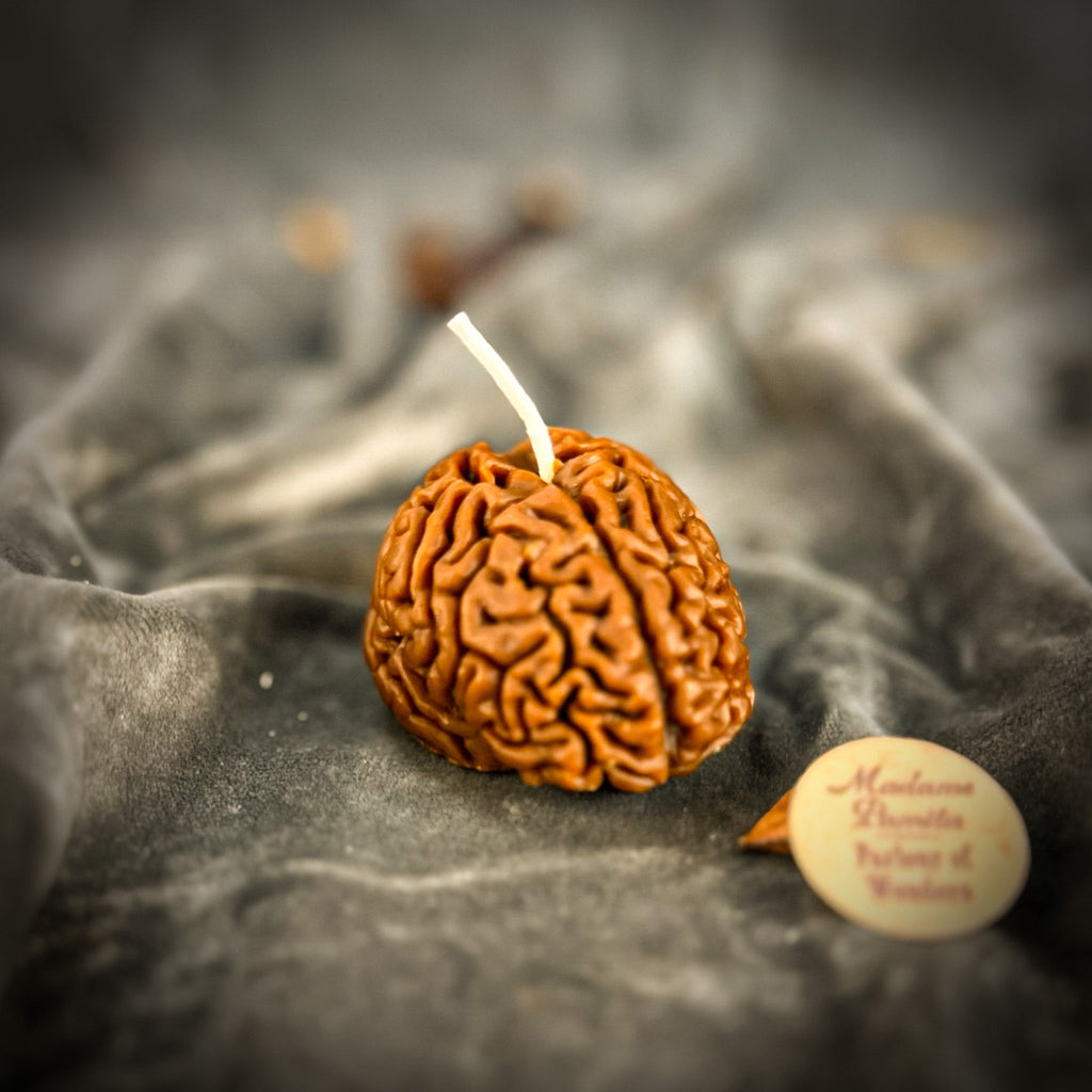 Brilliant Brain Candle Spell Kit - Mental Clarity & Focus by Parlour of Wonders