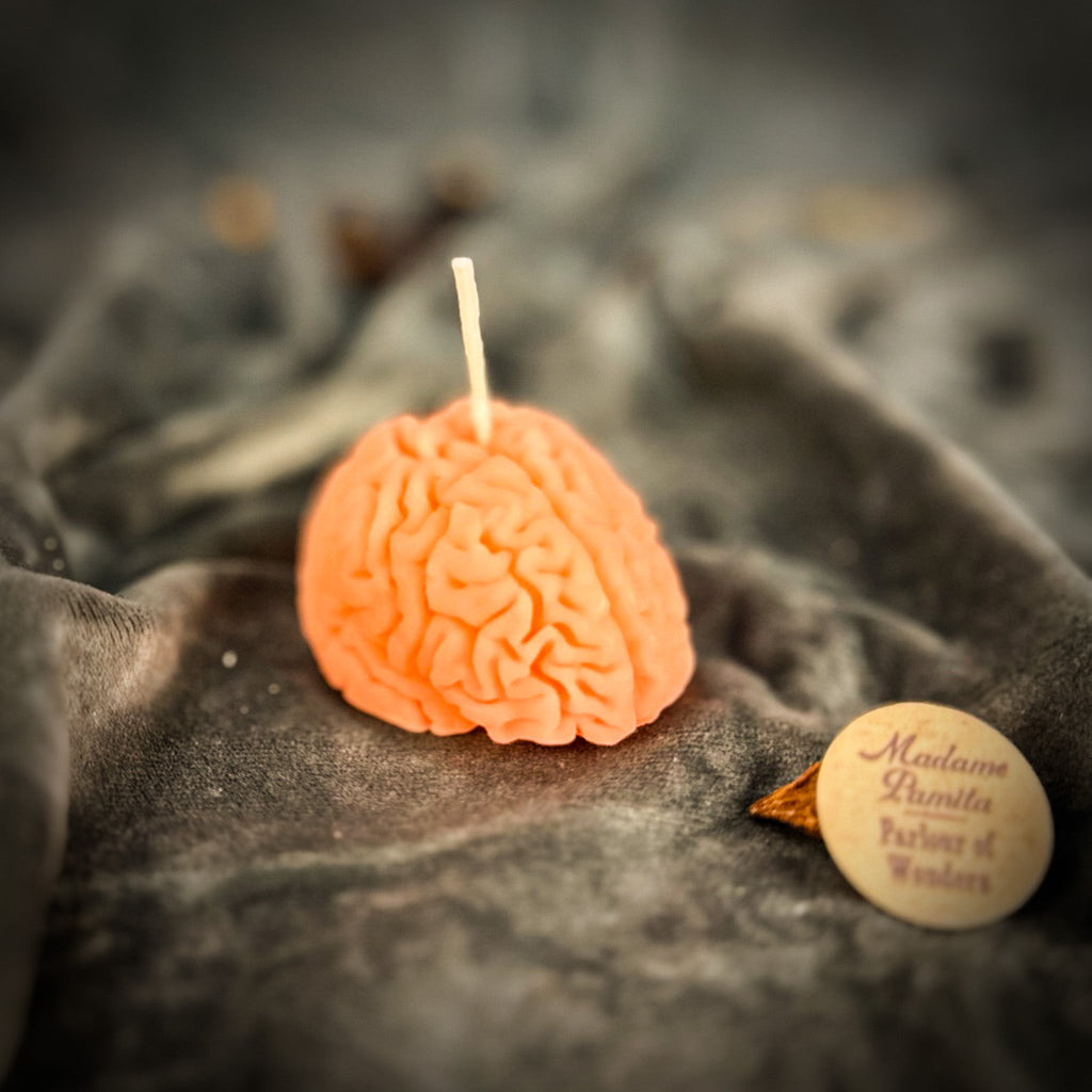 Brilliant Brain Candle Spell Kit - Mental Clarity & Focus by Parlour of Wonders