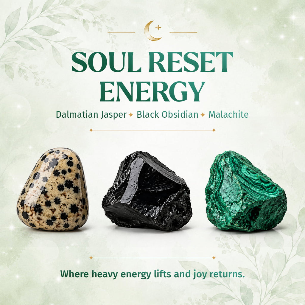 Soul Reset: Dalmatian Jasper Bracelet of Healing by Conscious Items