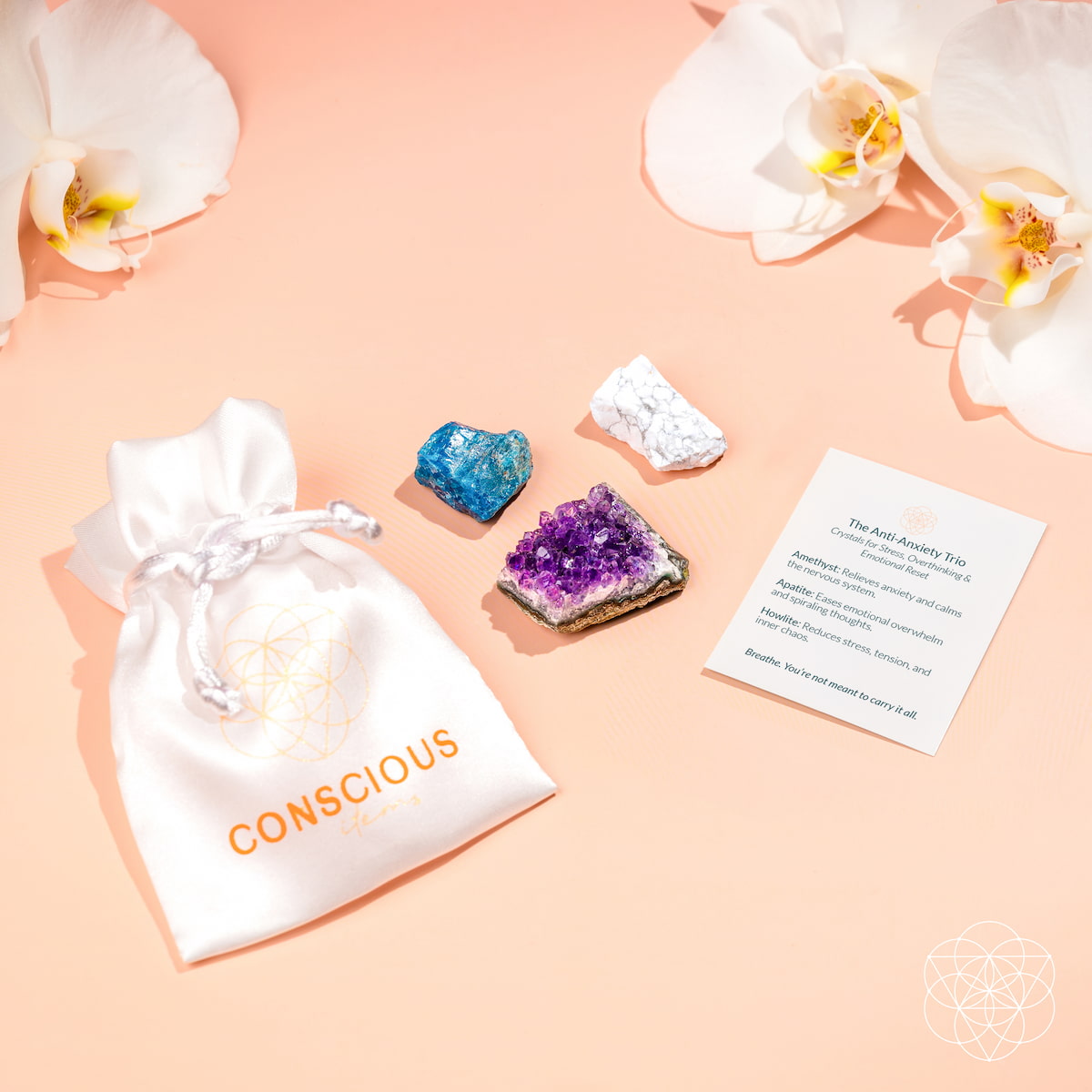 The Anxiety Trio by Conscious Items