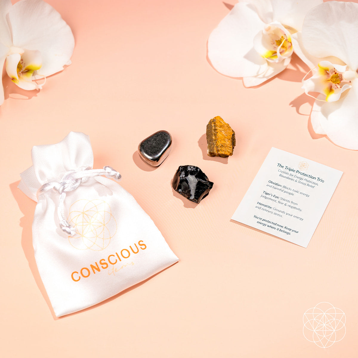 The Triple Protection Trio by Conscious Items
