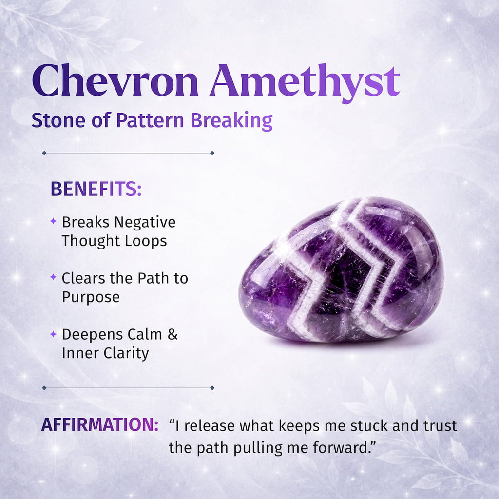 Cycle Breaker - Chevron Amethyst Point of Transformation by Conscious Items