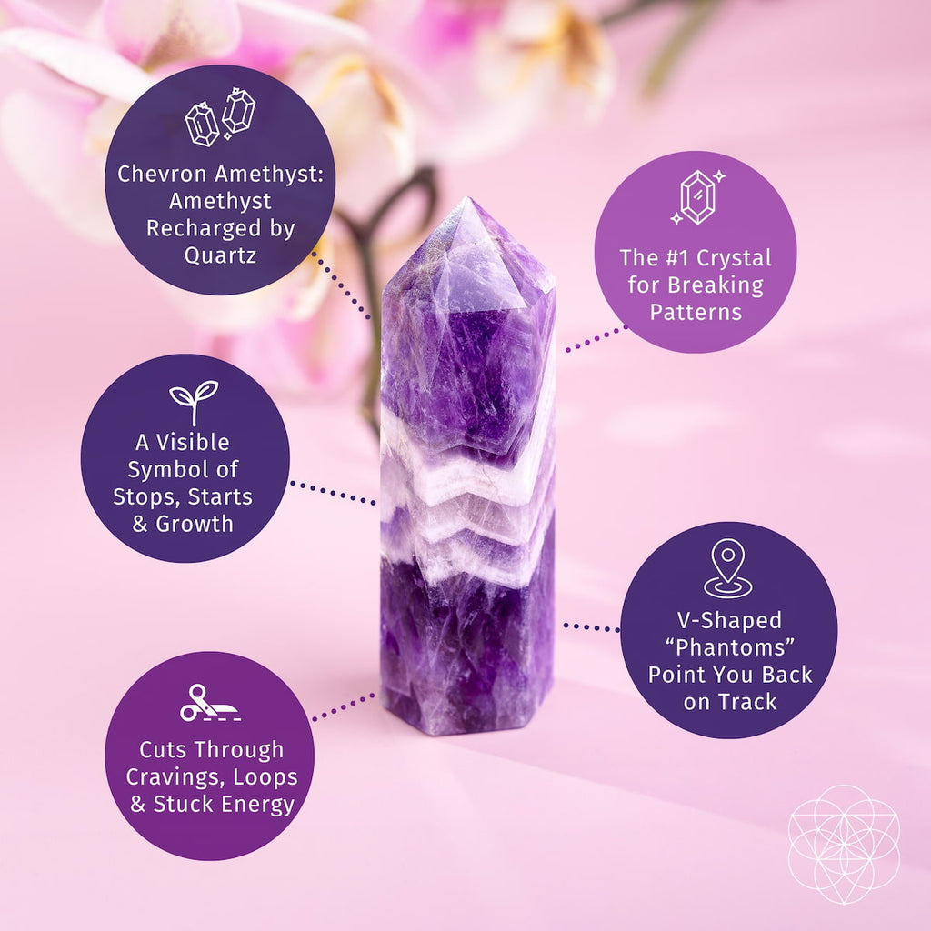 Cycle Breaker - Chevron Amethyst Point of Transformation by Conscious Items