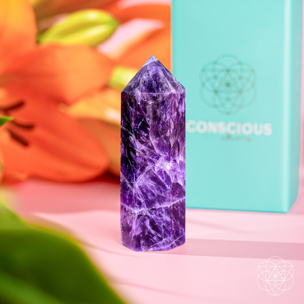 Cycle Breaker - Chevron Amethyst Point of Transformation by Conscious Items