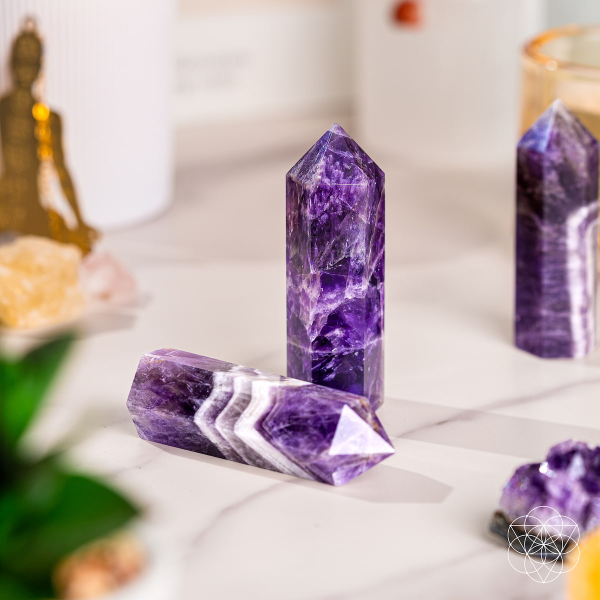 Cycle Breaker - Chevron Amethyst Point of Transformation by Conscious Items