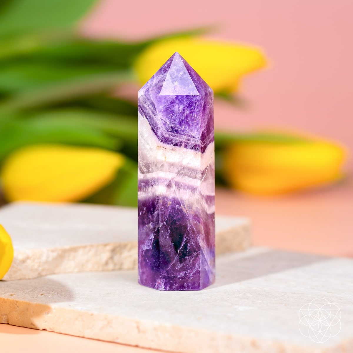 Cycle Breaker - Chevron Amethyst Point of Transformation by Conscious Items