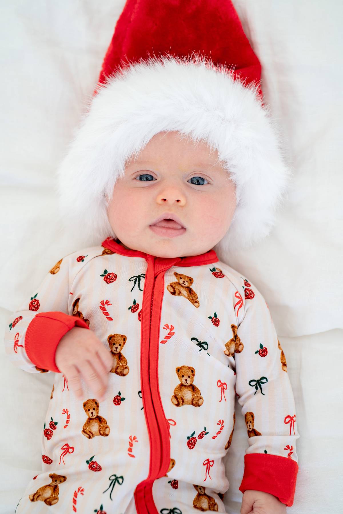 Teddy Bear Christmas | Zippy by Boosh Baby