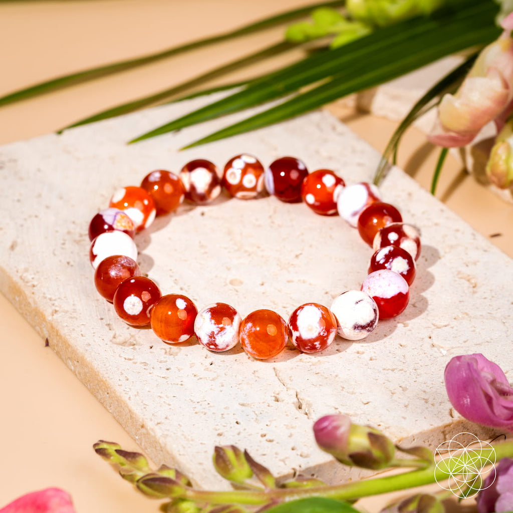 Feminine Force – Carnelian Orca Agate Bracelet by Conscious Items
