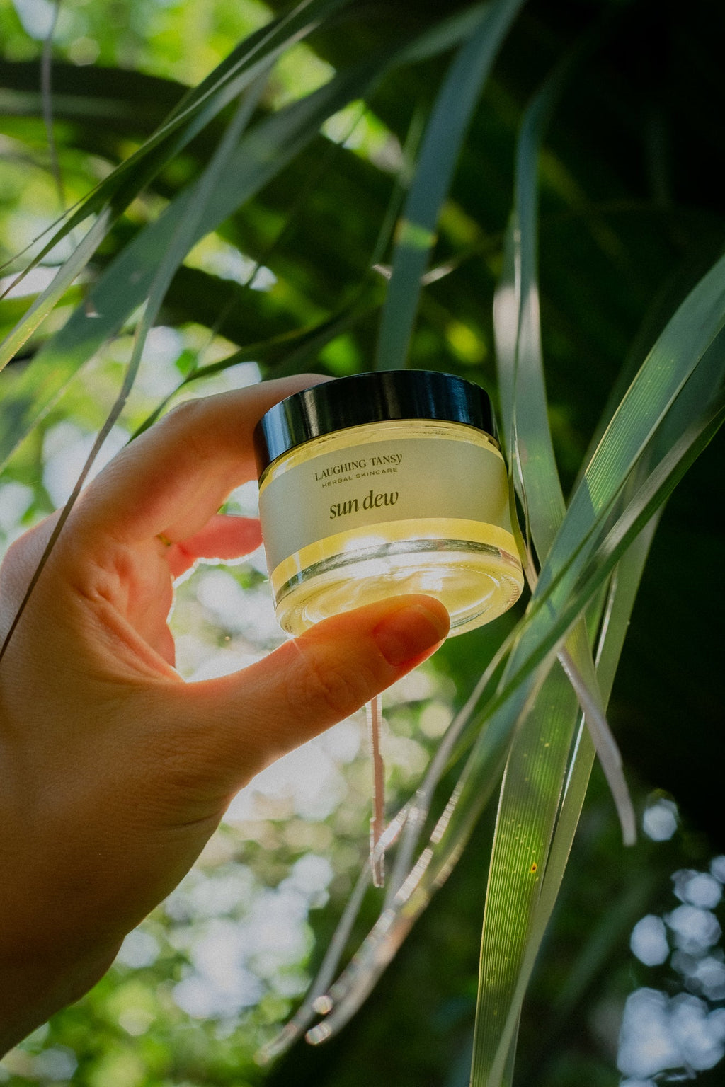 Sun Dew Waterless Moisturizer - Natural Skincare by ABĒCA Naturals