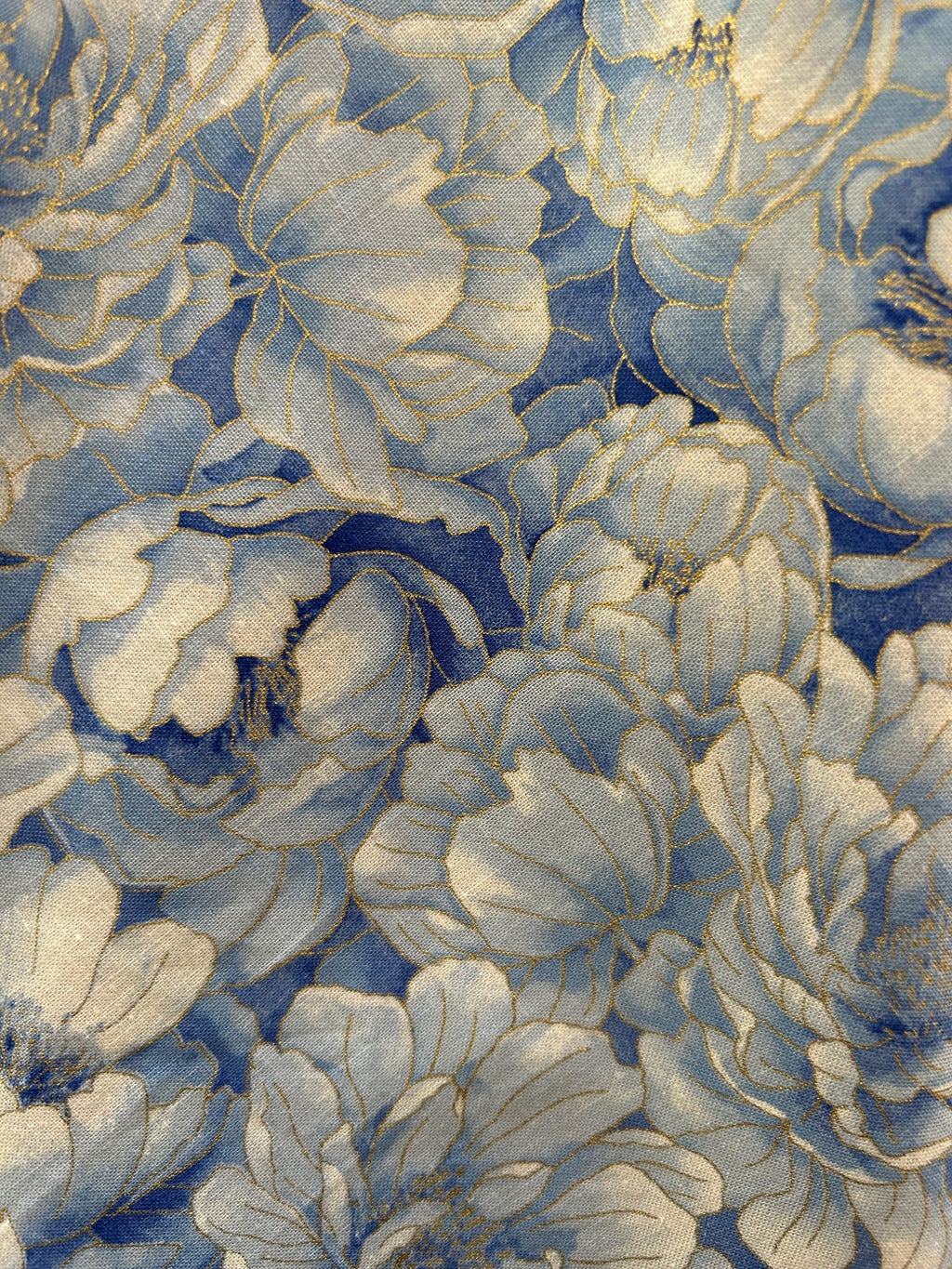 Elizabeth Dress in Sky Floral by Retrolicious