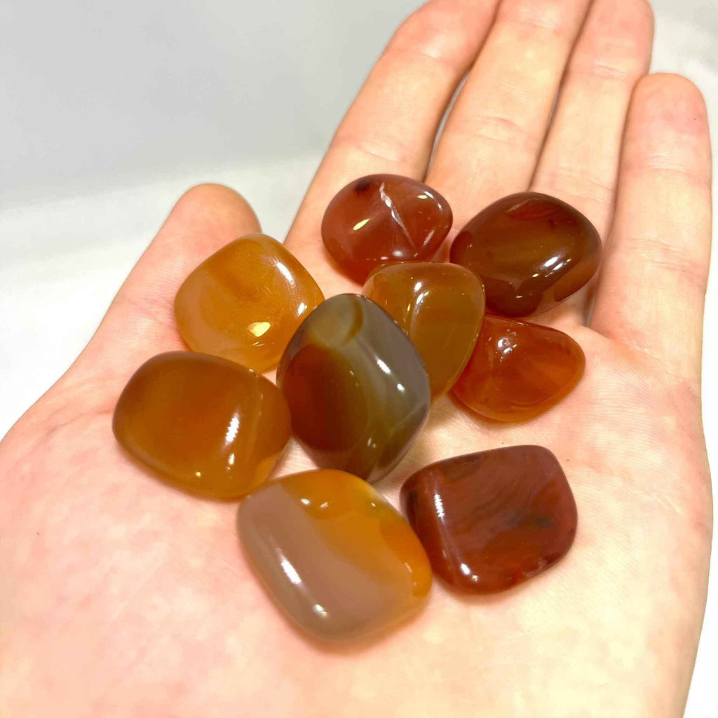 Carnelian Tumbled Pocket Stone (B) by Sacred Crystals