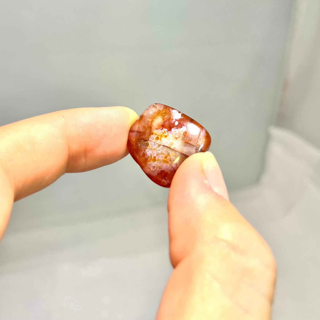 Carnelian Tumbled Pocket Stone (B) by Sacred Crystals