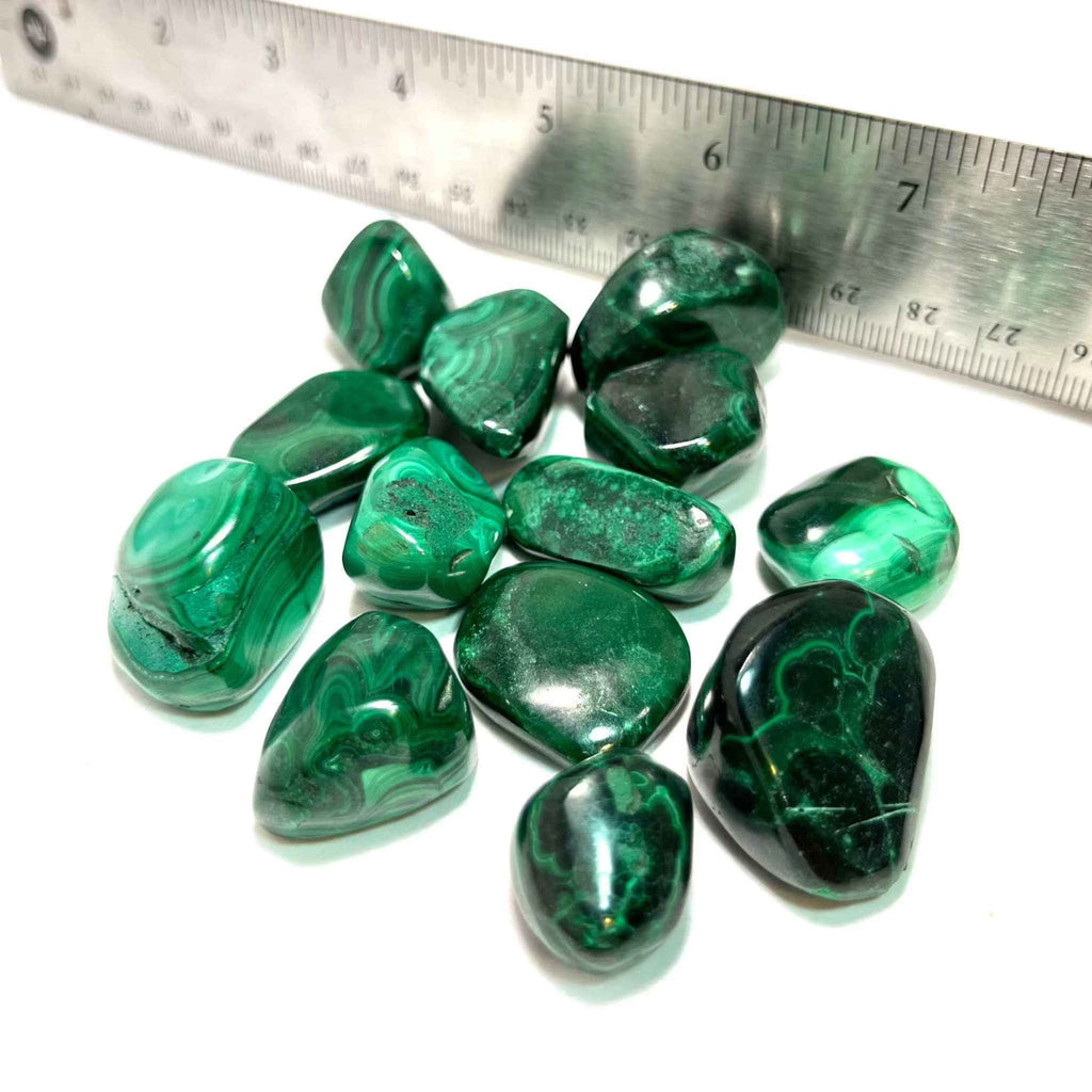 Malachite Tumbled Stone by Sacred Crystals