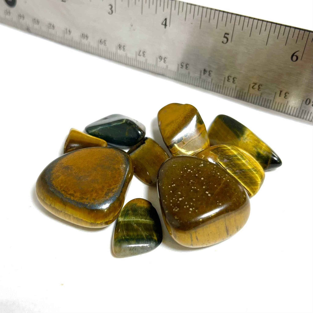 Tiger Eye Tumbled Pocket Stone by Sacred Crystals