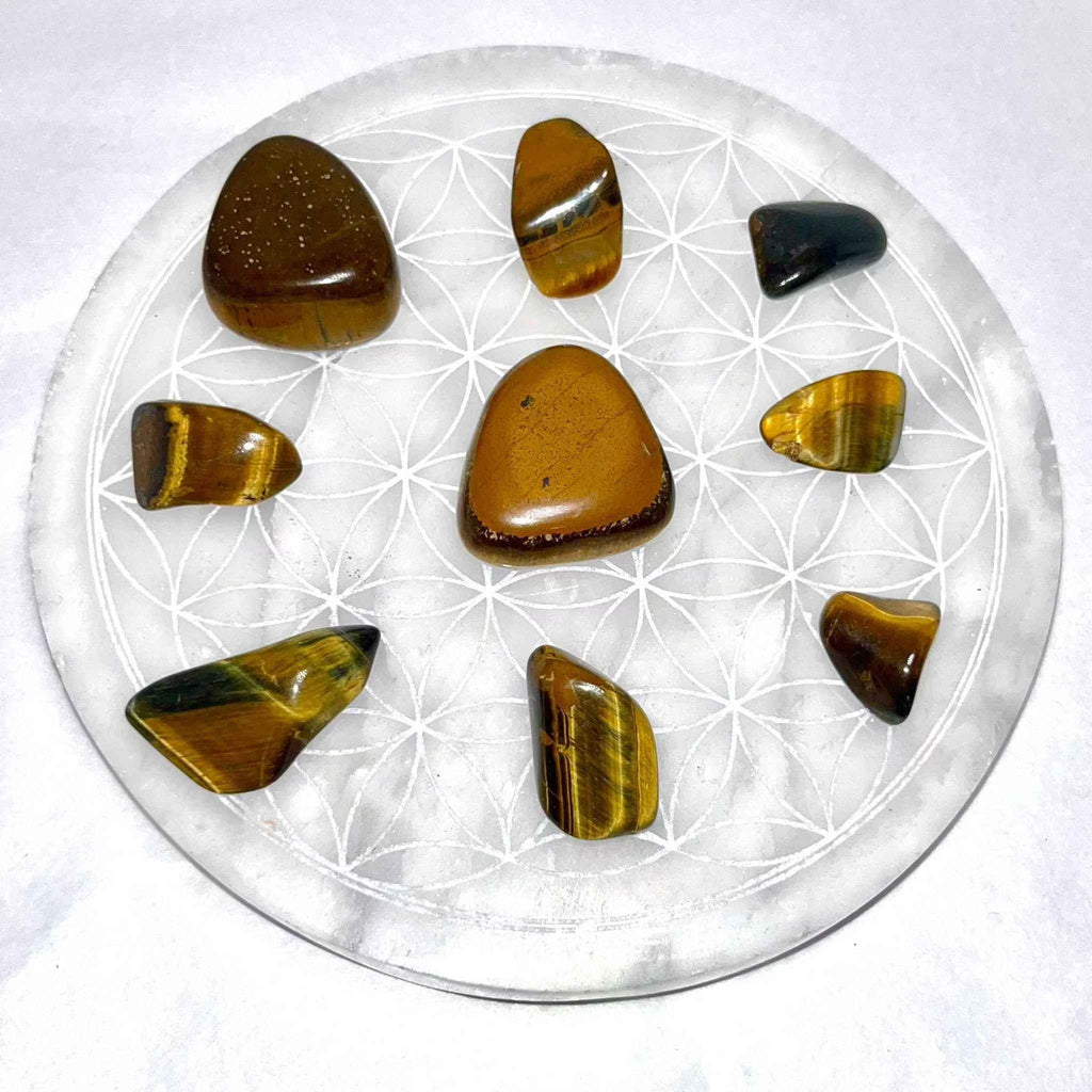 Tiger Eye Tumbled Pocket Stone by Sacred Crystals