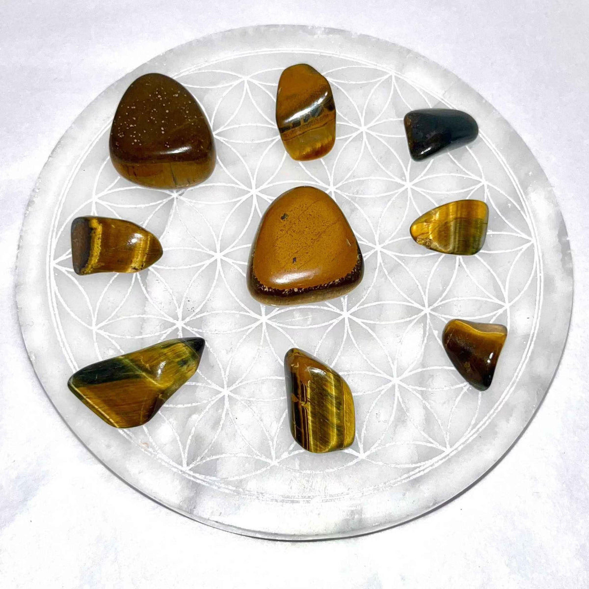 Tiger Eye Tumbled Pocket Stone by Sacred Crystals