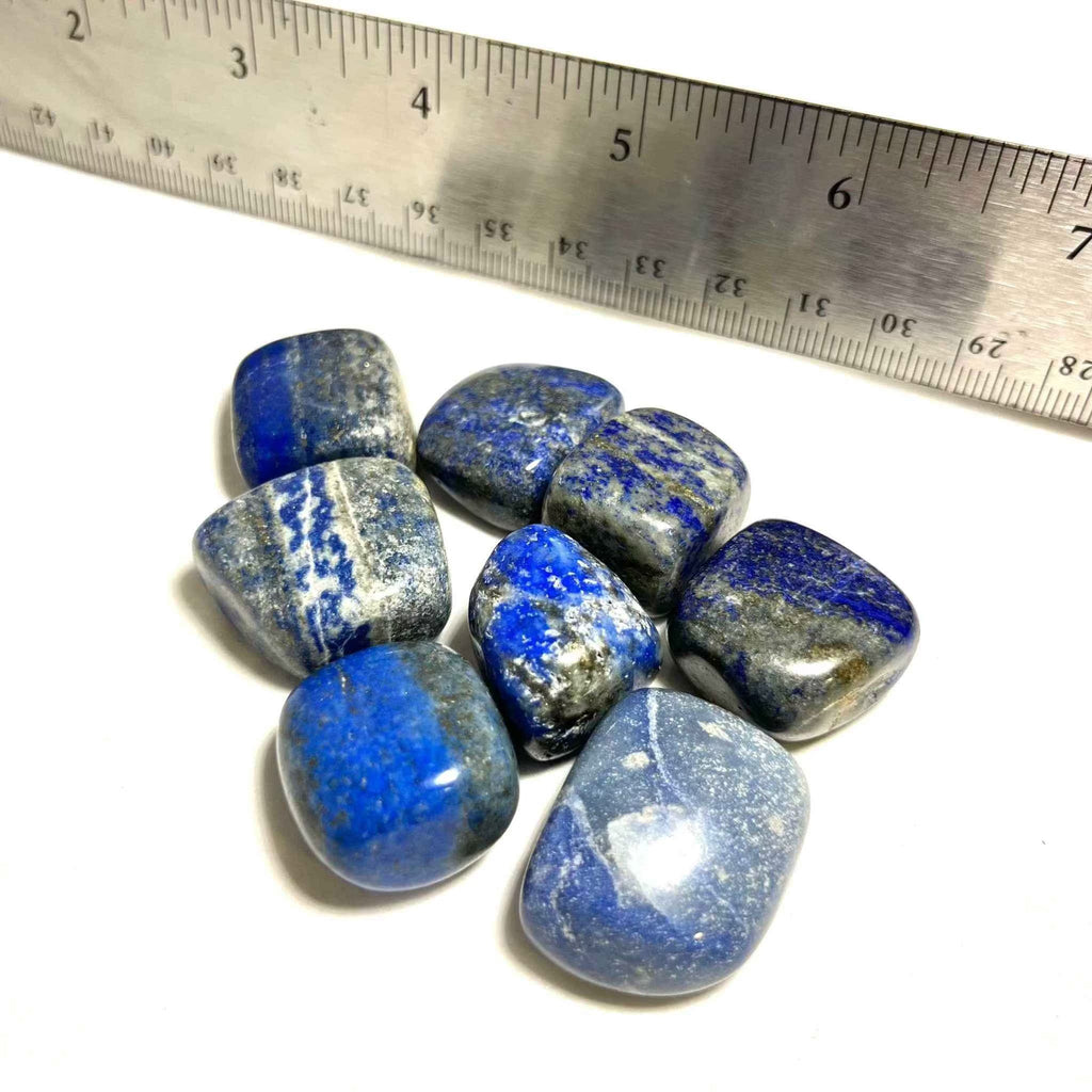 Lapis Lazuli Tumbled Pocket Stone by Sacred Crystals