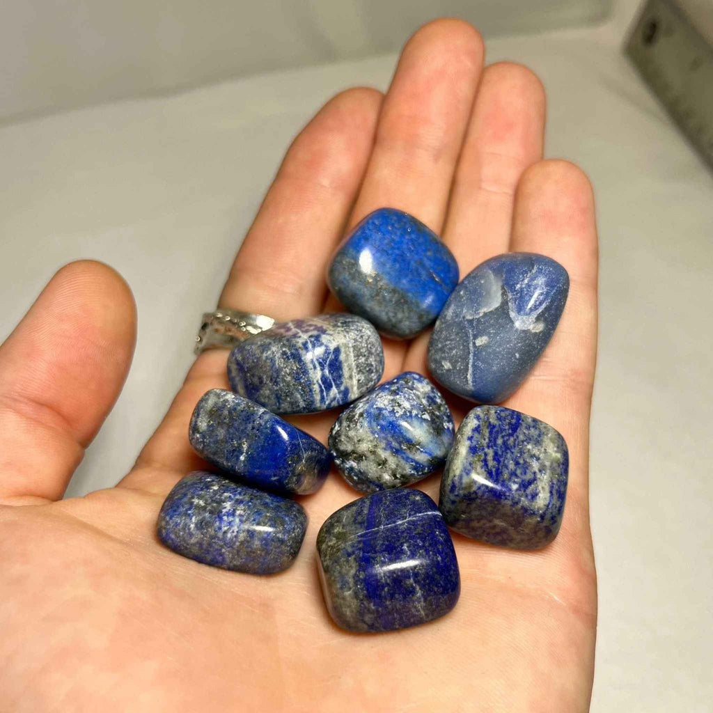 Lapis Lazuli Tumbled Pocket Stone by Sacred Crystals