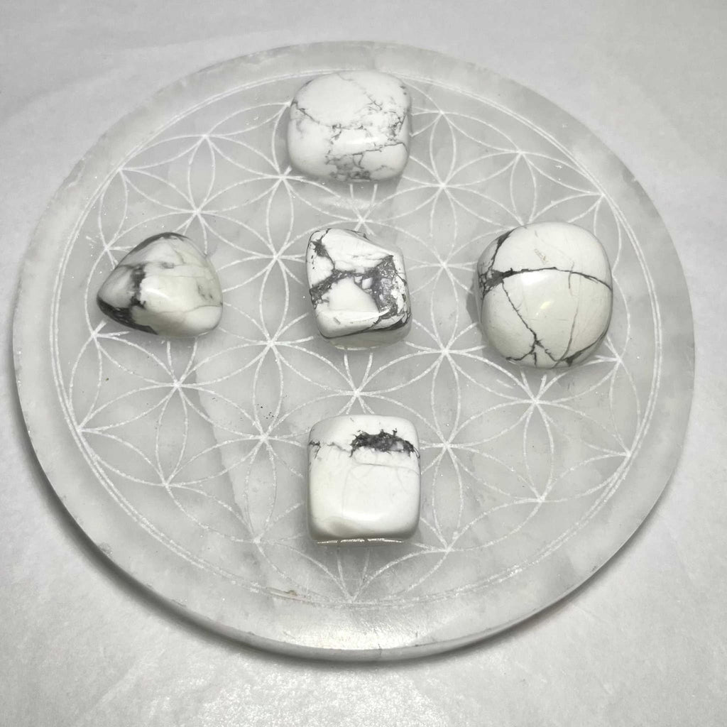 White Howlite Tumbled Stone by Sacred Crystals