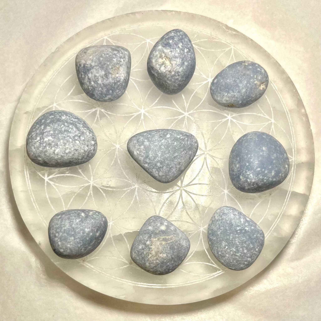 Angelite Tumbled Pocket Stone by Sacred Crystals