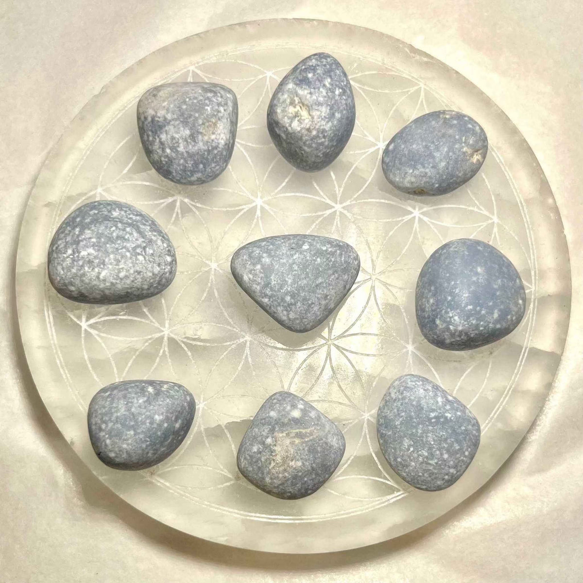 Angelite Tumbled Pocket Stone by Sacred Crystals