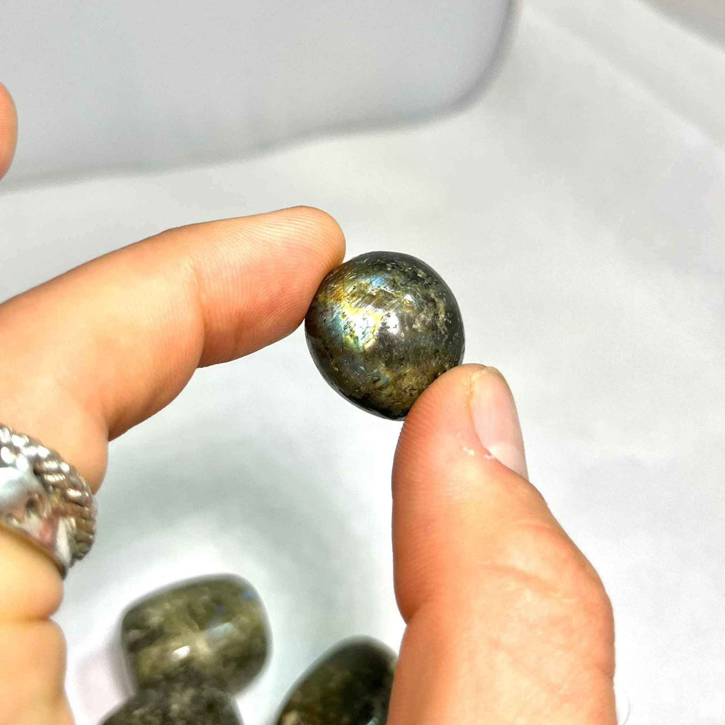 Labradorite Tumbled Pocket Stone by Sacred Crystals