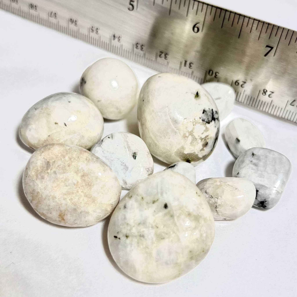 Rainbow Moonstone Tumbled Stone by Sacred Crystals