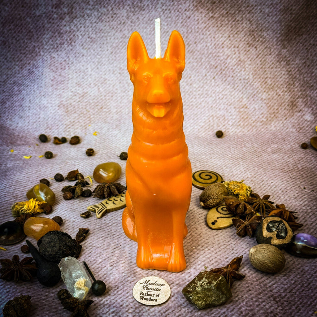 Faithful Dog Candle Spell Kit - Loyalty & Fidelity Magic by Parlour of Wonders