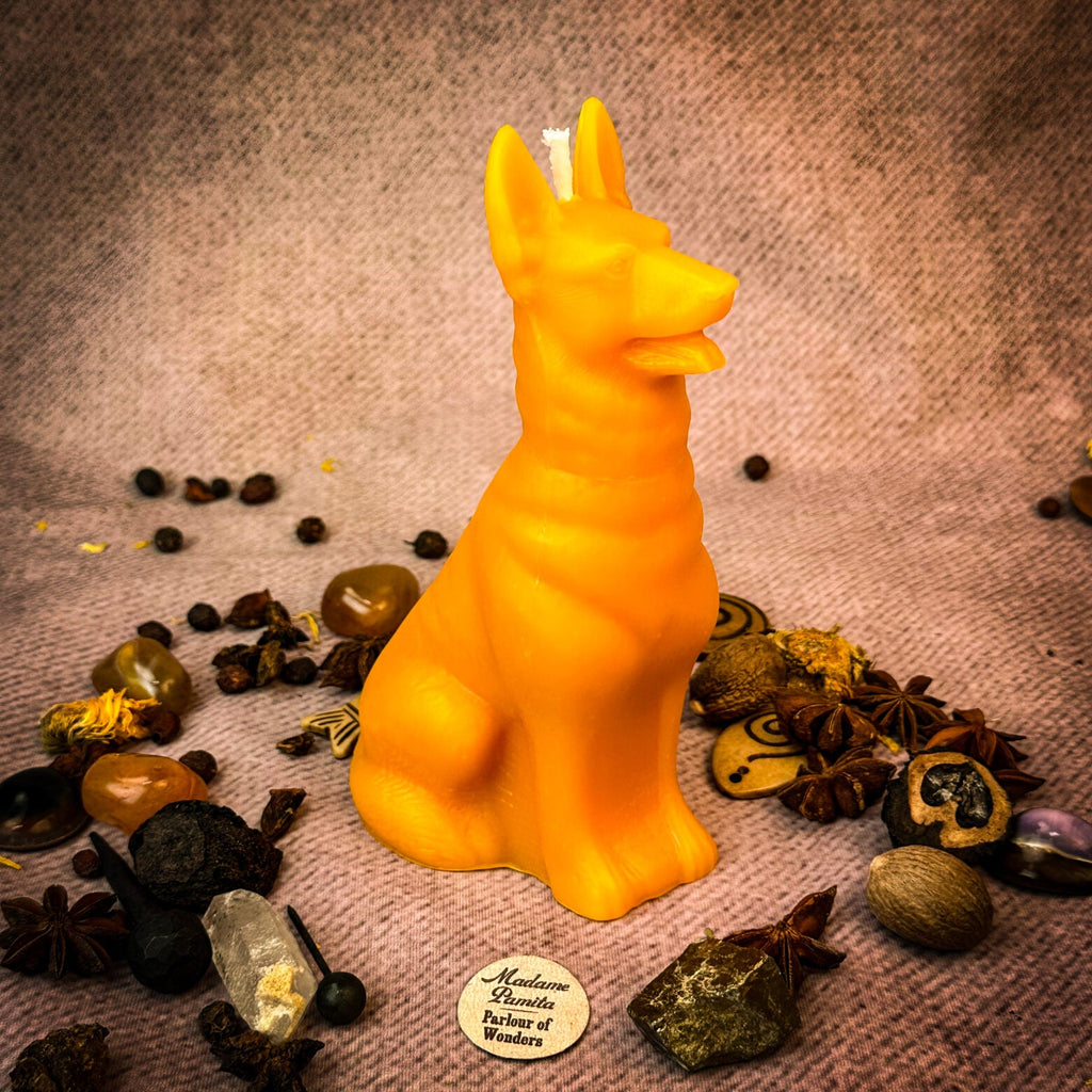 Faithful Dog Candle Spell Kit - Loyalty & Fidelity Magic by Parlour of Wonders