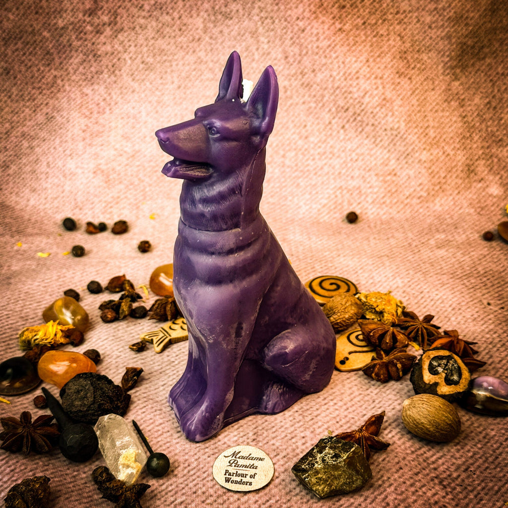 Faithful Dog Candle Spell Kit - Loyalty & Fidelity Magic by Parlour of Wonders