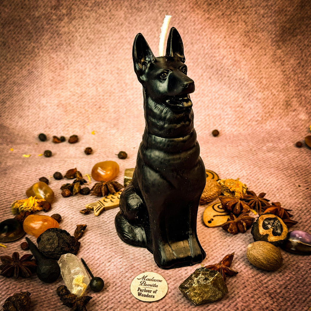 Faithful Dog Candle Spell Kit - Loyalty & Fidelity Magic by Parlour of Wonders