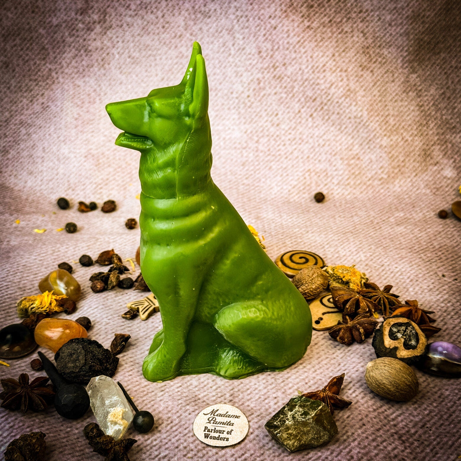 Faithful Dog Candle Spell Kit - Loyalty & Fidelity Magic by Parlour of Wonders