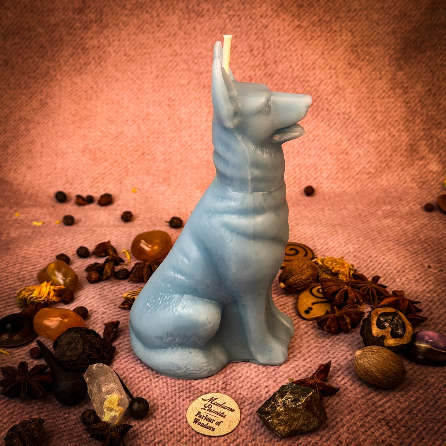 Faithful Dog Candle Spell Kit - Loyalty & Fidelity Magic by Parlour of Wonders