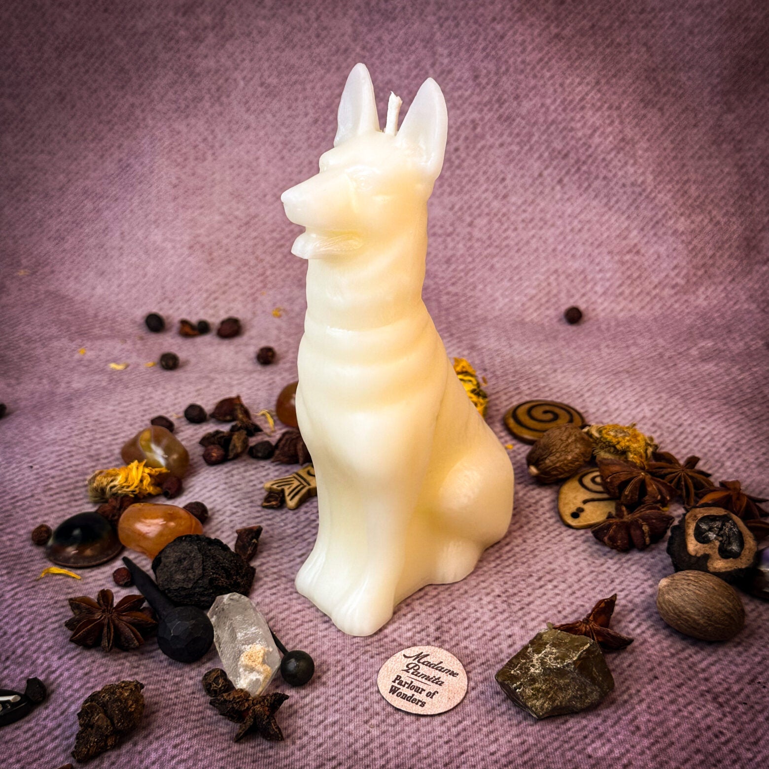 Faithful Dog Candle Spell Kit - Loyalty & Fidelity Magic by Parlour of Wonders