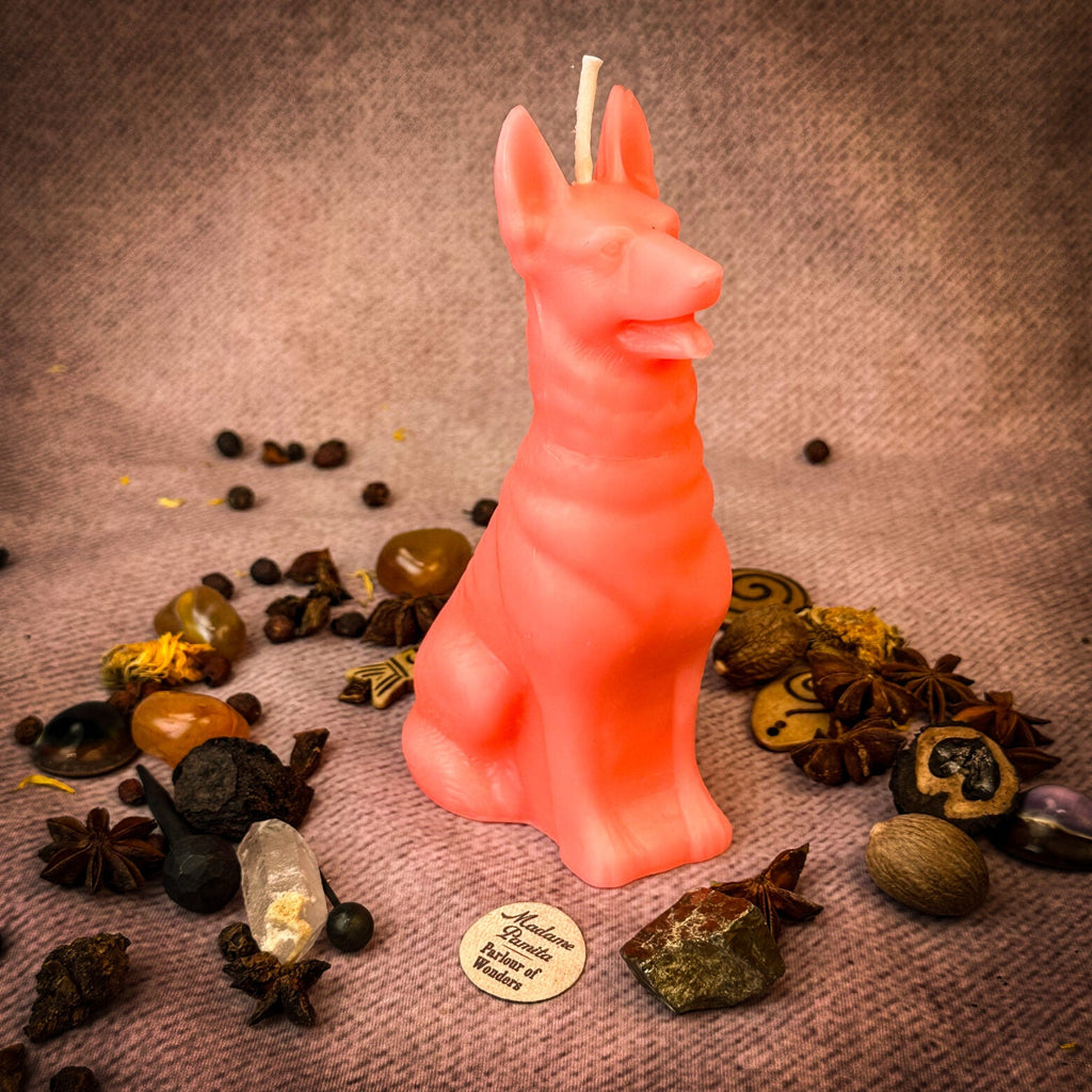 Faithful Dog Candle Spell Kit - Loyalty & Fidelity Magic by Parlour of Wonders