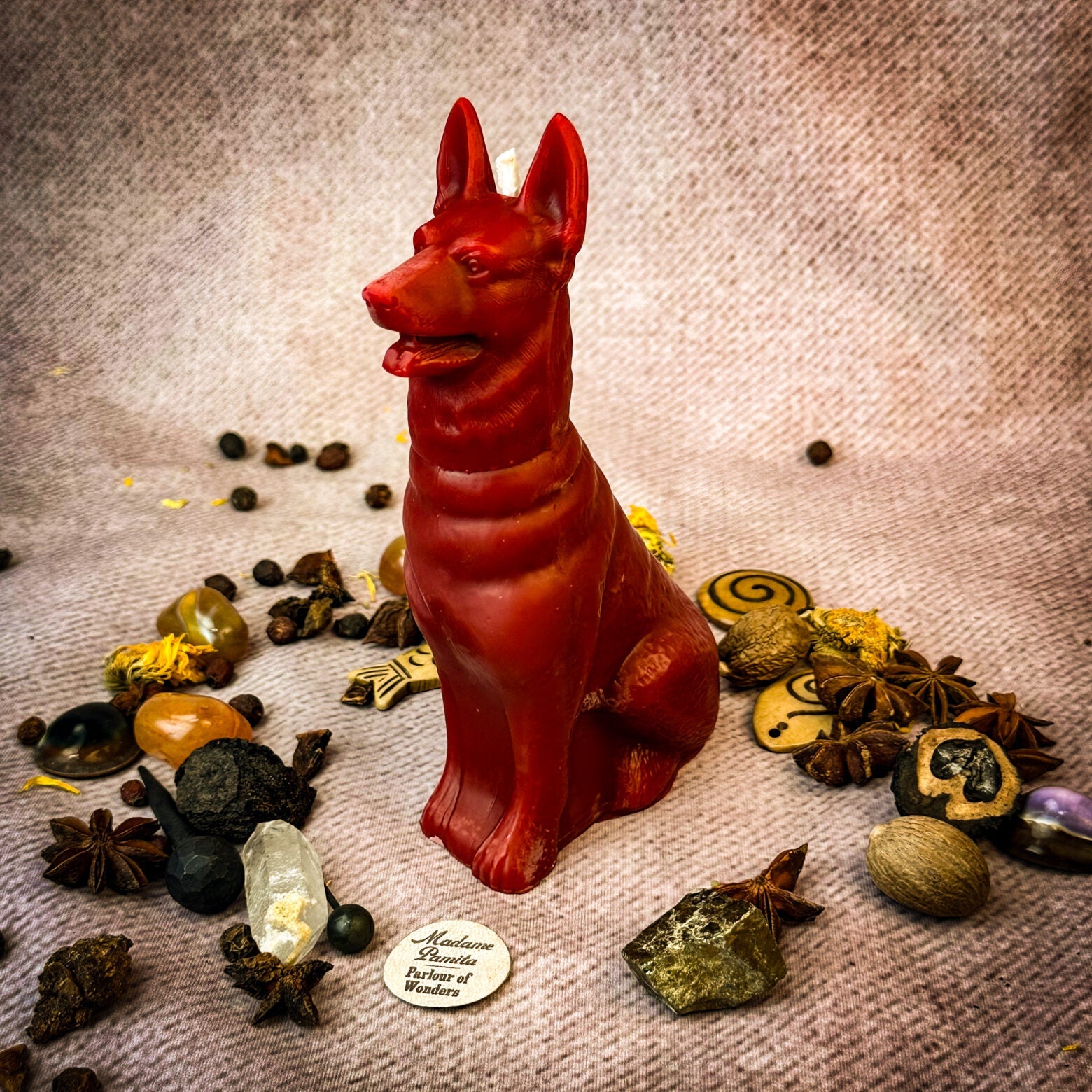Faithful Dog Candle Spell Kit - Loyalty & Fidelity Magic by Parlour of Wonders