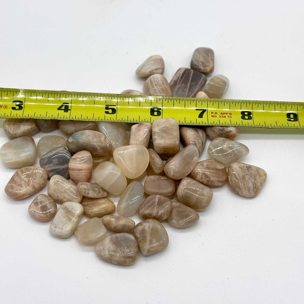 Multi-Color Moonstone Tumbled Stone - The Traveler's Stone by Sacred Crystals