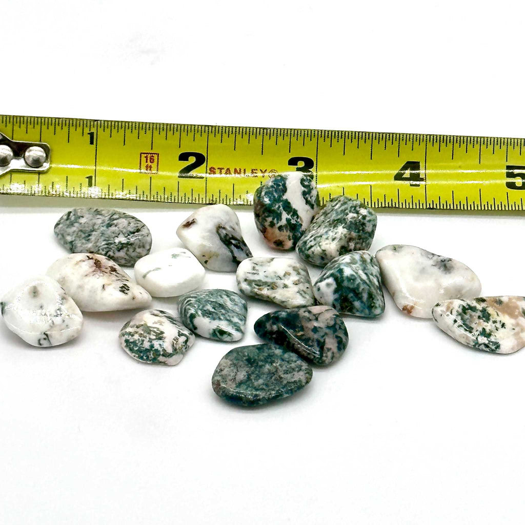 Tree Agate Tumbled Stone by Sacred Crystals