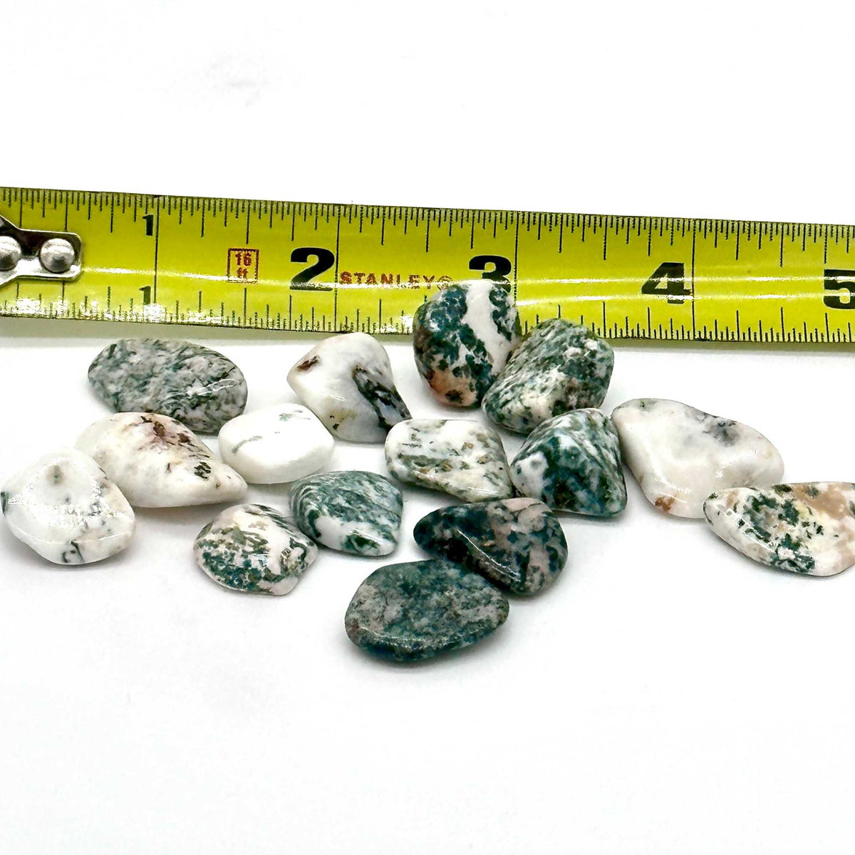 Tree Agate Tumbled Stone by Sacred Crystals