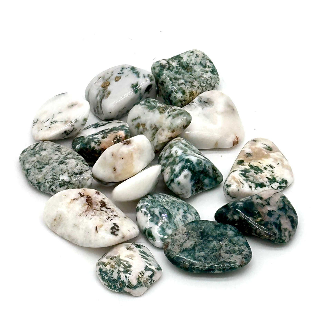 Tree Agate Tumbled Stone by Sacred Crystals
