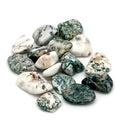 Tree Agate Tumbled Stone by Sacred Crystals