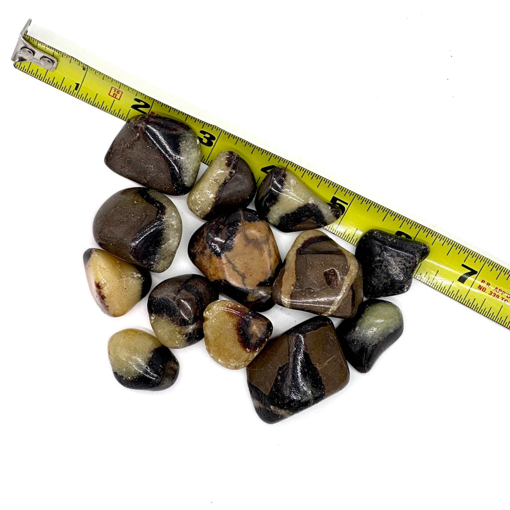 Septarian Tumbled Pocket Stone: The Dragon Stone by Sacred Crystals
