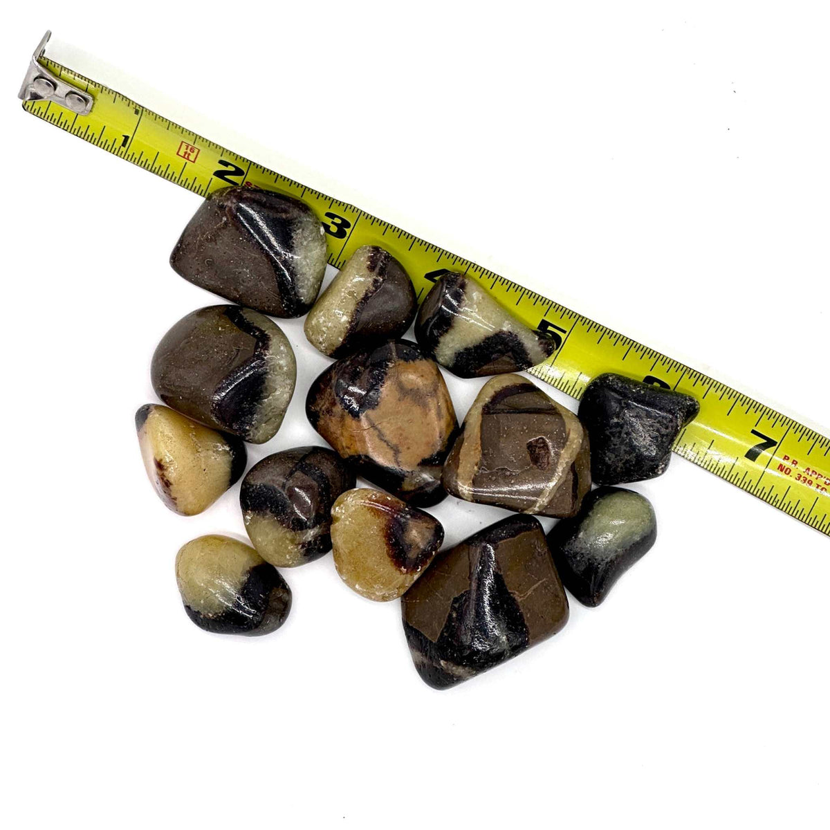 Septarian Tumbled Pocket Stone: The Dragon Stone by Sacred Crystals