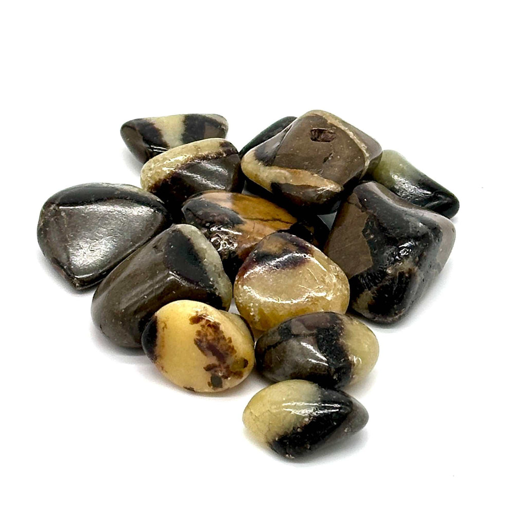 Septarian Tumbled Pocket Stone: The Dragon Stone by Sacred Crystals