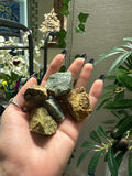 Ocean Jasper Rough Pocket Stone by Sacred Crystals