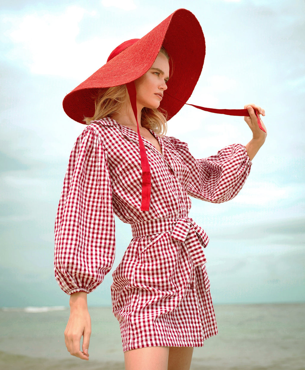 The Meghan Mini Gingham Dress, in Red by BrunnaCo