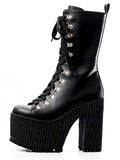 Phoenix Boot by Charla Tedrick