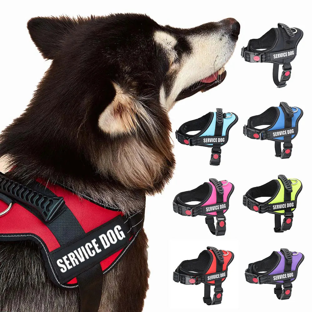 Accept Customise Patches Pet Dog Harness No Pull Reflective Saddle Adjustable Dog Walking For Small Medium And Large Dogs Vest by FLIPSTYLEZLLC