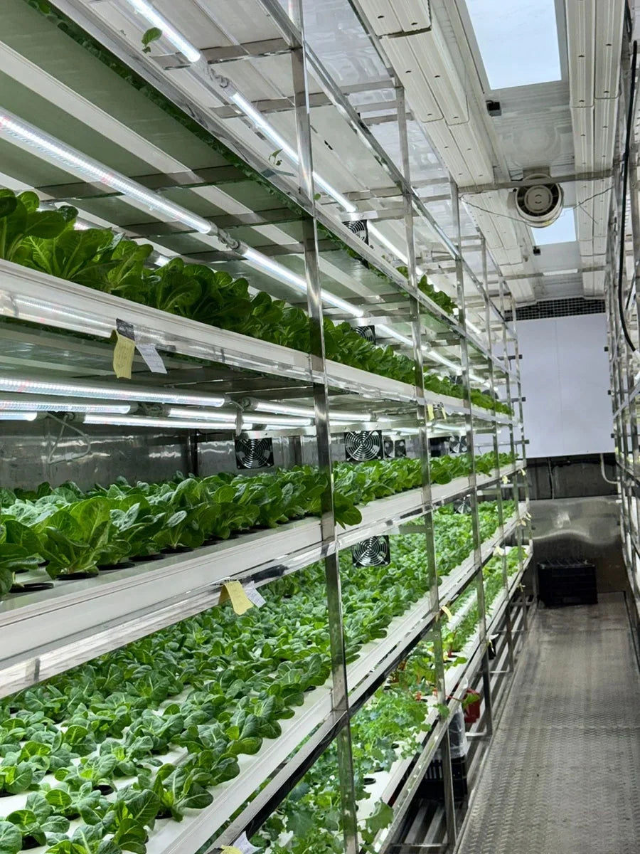 OEM Nft Hydroponics Nft Channel Growing System Kits Vertical Lettuce Strawberry Agricultural NFT Growing System Plant Vegetable by FLIPSTYLEZLLC